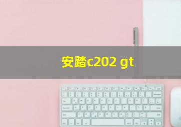 安踏c202 gt